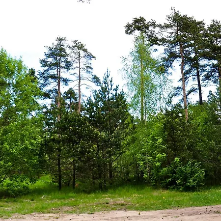 ホステル Maenniku Jk