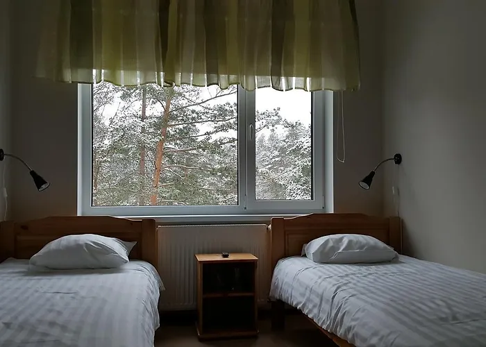 Maenniku Jk ホステル タリン